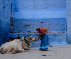 Kulturelle Unterschiede