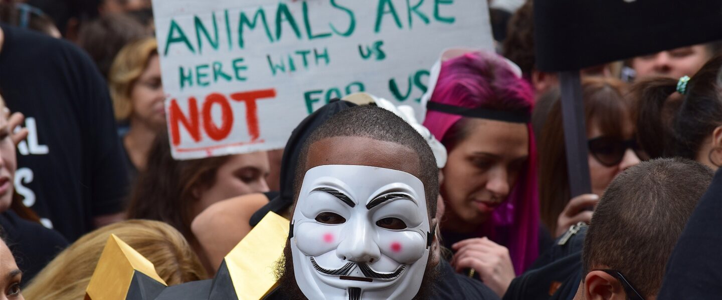 Tierrecht vs. Tierschutz